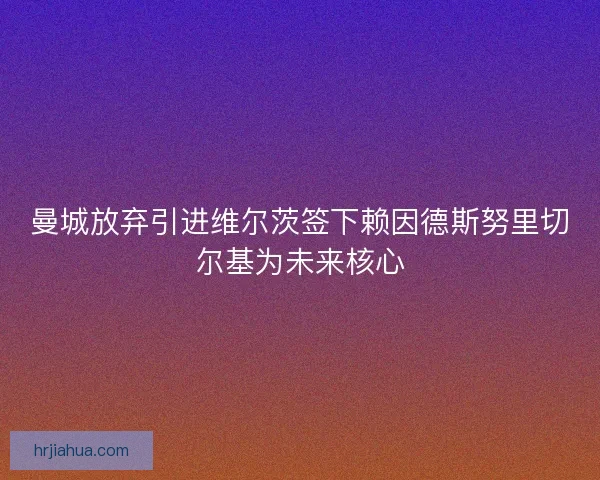 曼城放弃引进维尔茨签下赖因德斯努里切尔基为未来核心