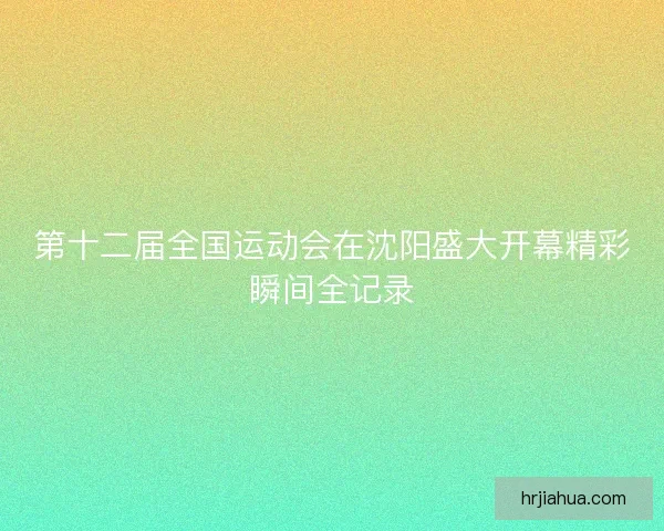 第十二届全国运动会在沈阳盛大开幕精彩瞬间全记录